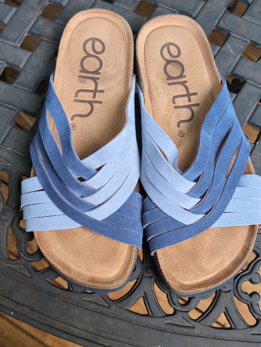 Earth Two-Tone Blue Suede Slide Sandals